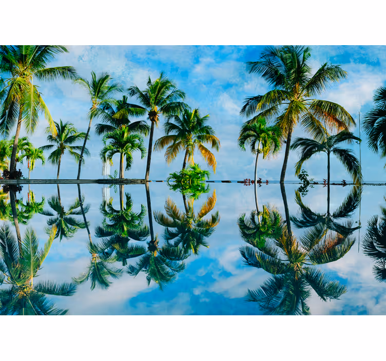 Fototapeter natur grön palm reflektioner - Tenstickers