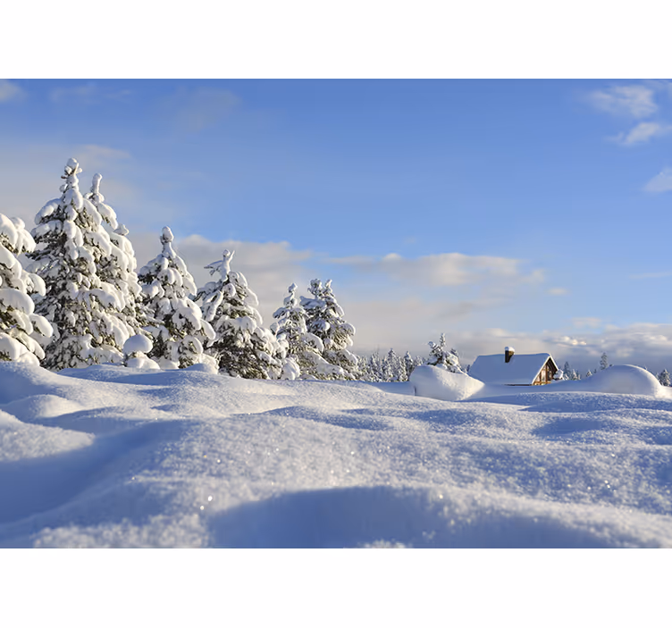 Fototapeter landskap vinter snöscen - Tenstickers