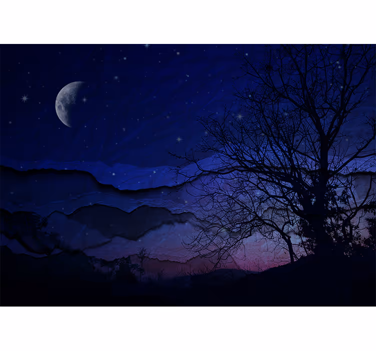 Fototapeter sky månbelyst natt himmel - Tenstickers