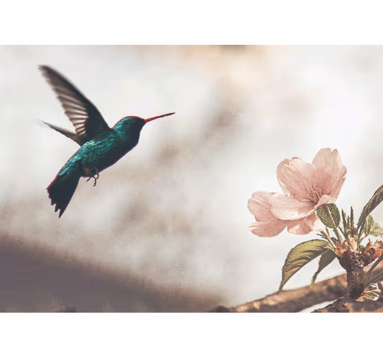 Fototapet kinesisk blomma och fågel vektor uppsättning - Tenstickers