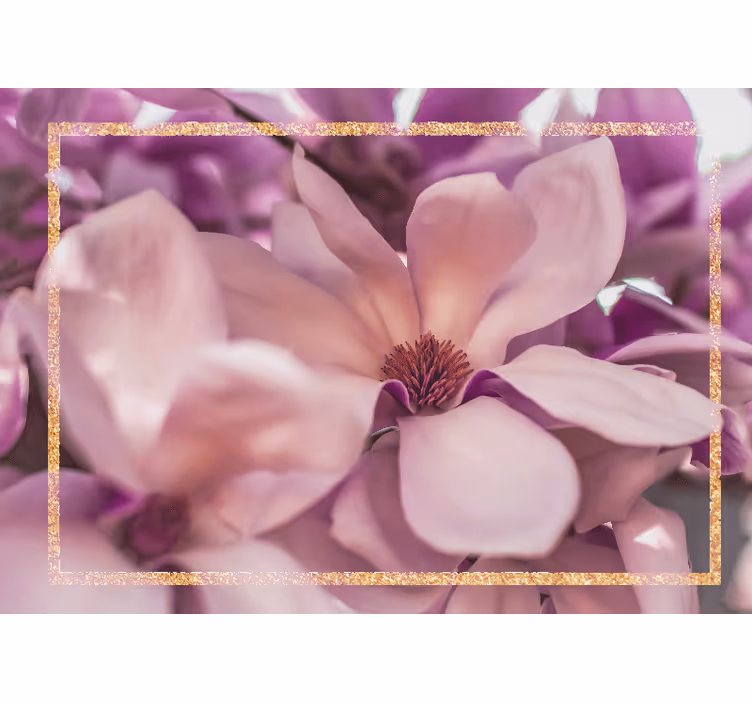 Fototapeter blommor magnolia blomma närbild - Tenstickers