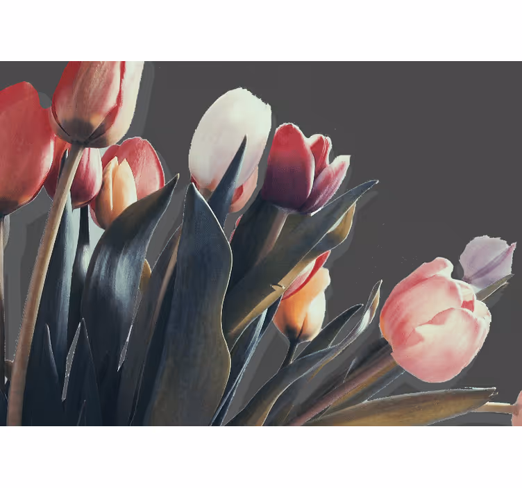 Fototapet rosa tulpaner på en svart tulpan - Tenstickers