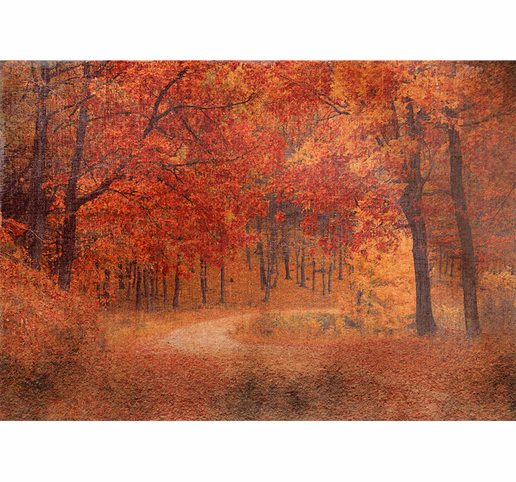 Fototapeter natur rustik höststig - Tenstickers