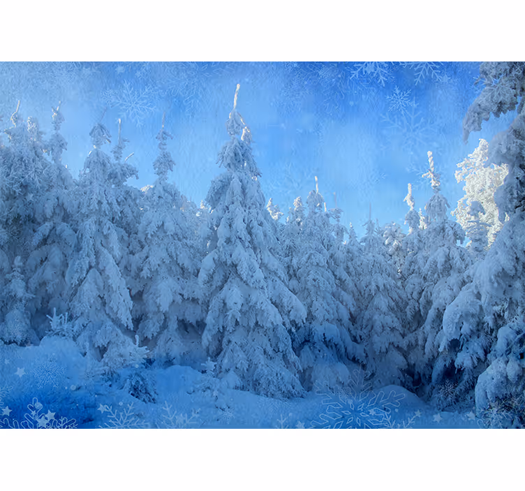 Fototapeter skogar snöiga tallar - Tenstickers