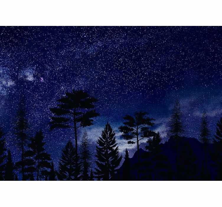 Fototapeter sky stjärnklädda skogs silhuetter - Tenstickers