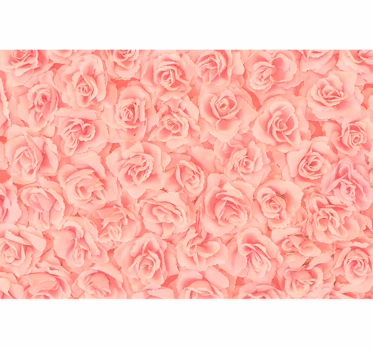 Fototapeter blommor rosor i blomstring - Tenstickers