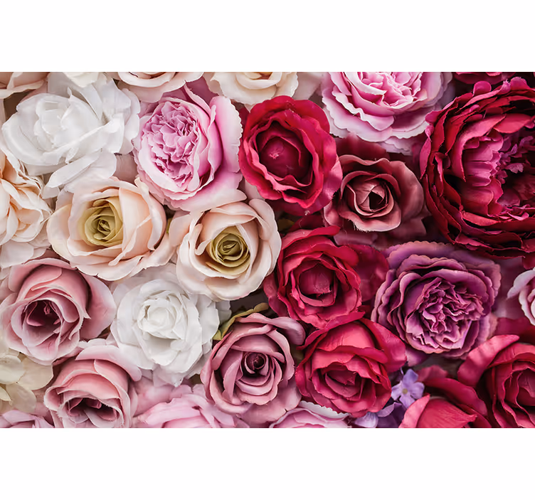 Rosa och vita rosor fototapet - Tenstickers