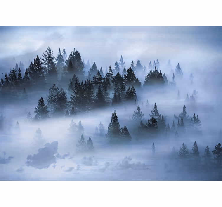 Fototapeter natur dimhöga granskogar - Tenstickers