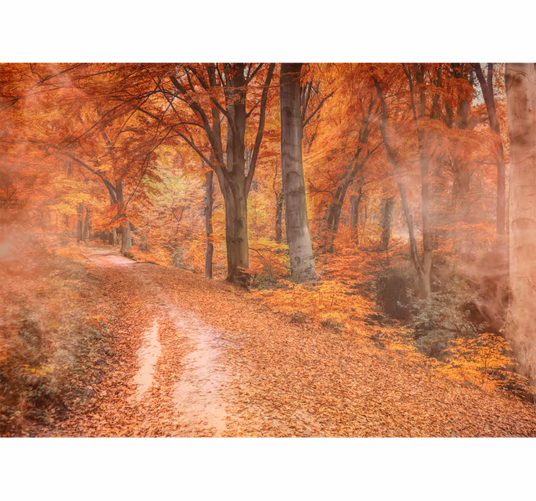 Fototapeter natur höststig - Tenstickers