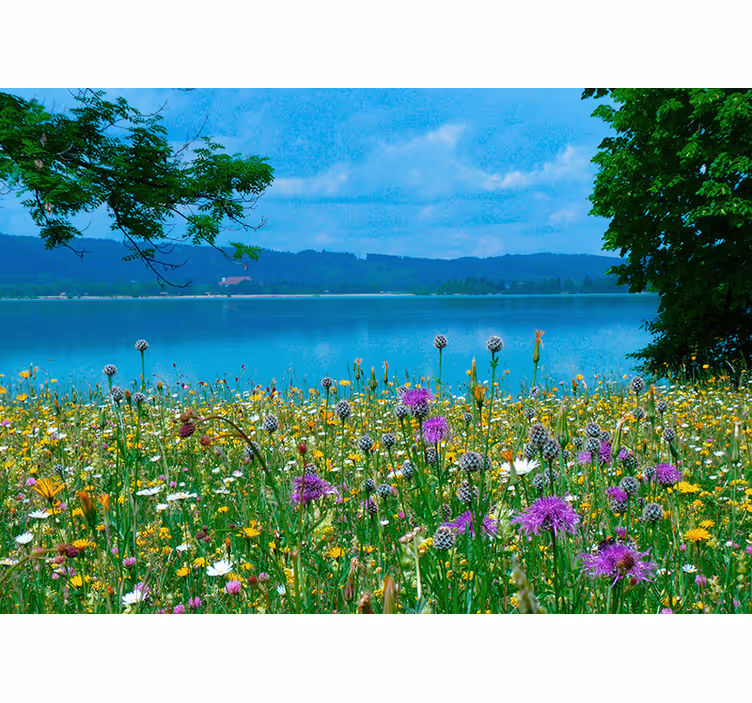 Fototapeter blommor lummig ängsflora - Tenstickers