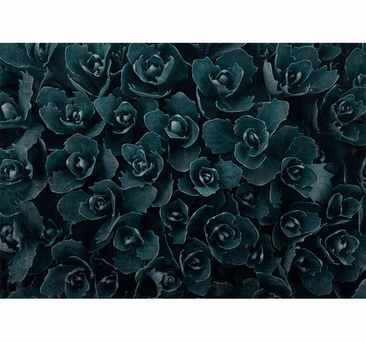 Fototapeter blommor elegant rosblomma - Tenstickers