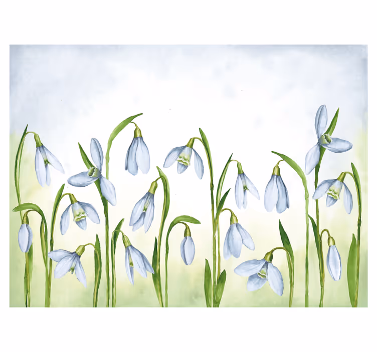Fototapeter Övriga blommor snödroppar flora - Tenstickers