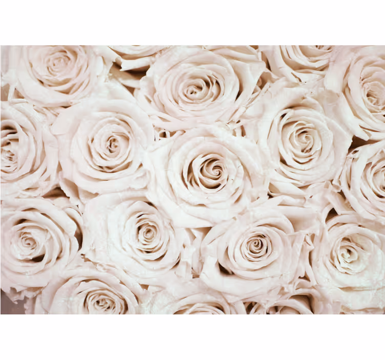 Fototapeter blommor mjuka rosor arrangement - Tenstickers