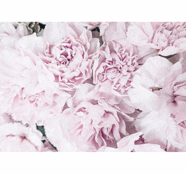 Fototapeter blommor mjuka rosa blommor - Tenstickers