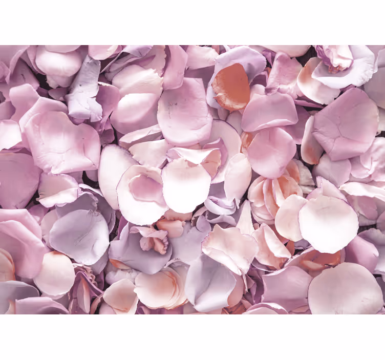 Fototapeter blommor rosenblad nära upp - Tenstickers