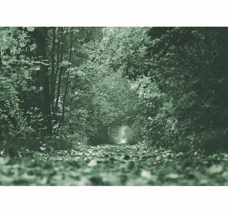 Gröna löv tunnel natur fototapet - Tenstickers