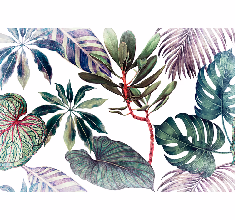 Akvarell monstera växter fototapet - Tenstickers