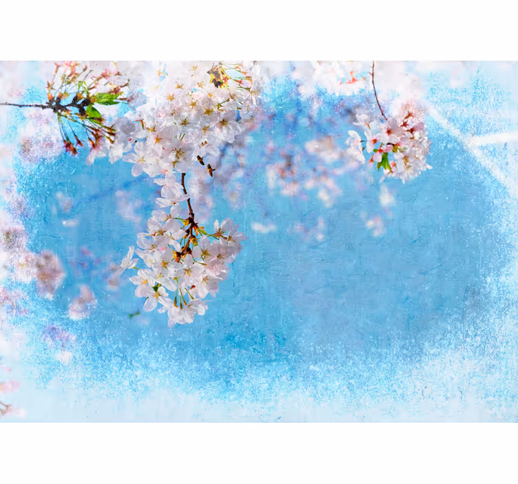 Körsbärsblommors lugn Fototapeter Blommor - Tenstickers