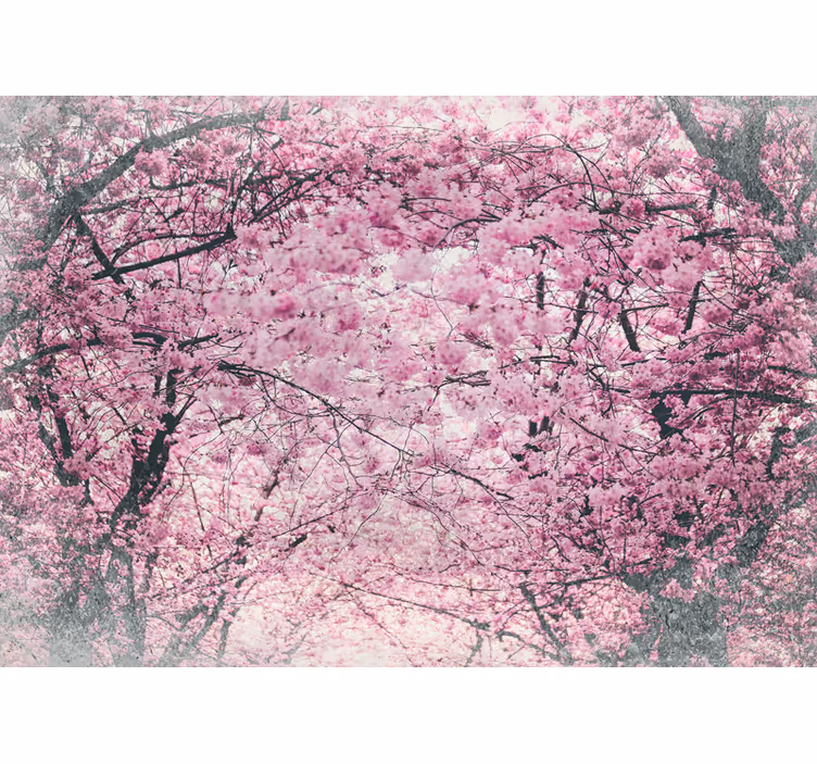 Fototapeter blommor körsbärsblomsträdgård - Tenstickers