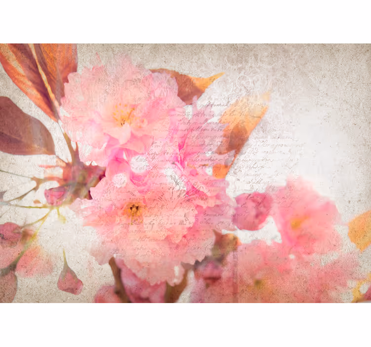 Fototapeter blommor körsbärsblommor - Tenstickers