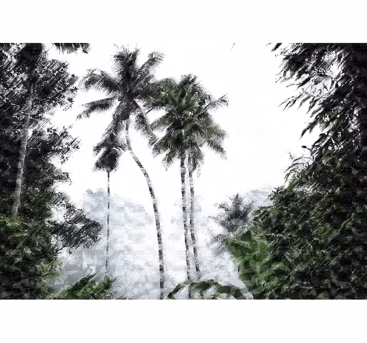 Fototapeter natur palmträdens lugn - Tenstickers