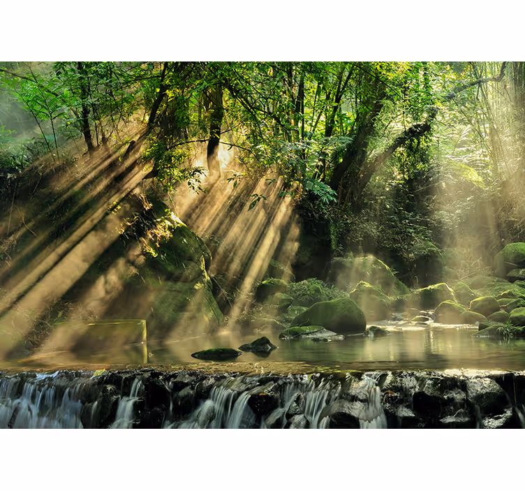 Solbelyst skogsbäck Fototapeter Natur - Tenstickers