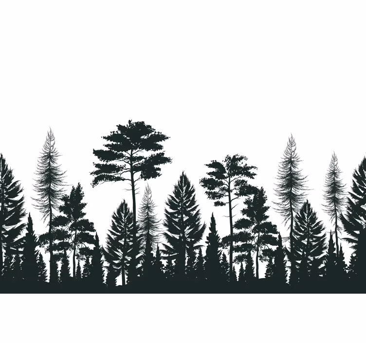 Tallar siluett skog fototapet - Tenstickers