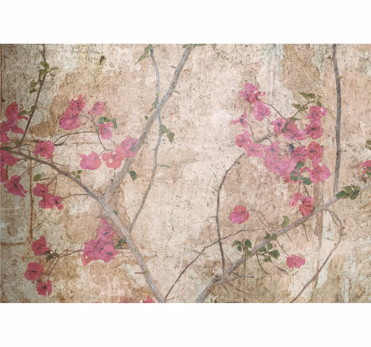 Fototapeter blommor bougainvillea i rosa - Tenstickers