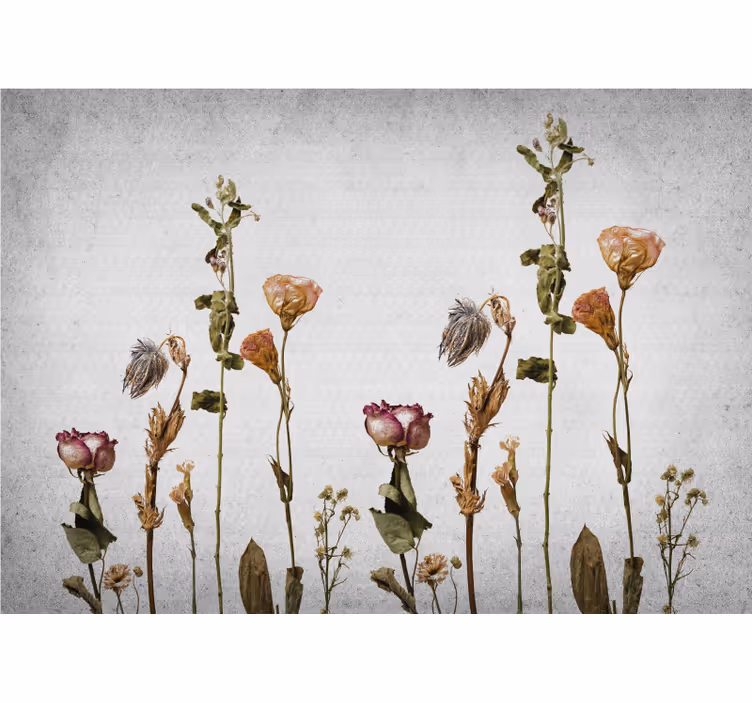 Fototapeter blommor torkade blommor arrangemang - Tenstickers