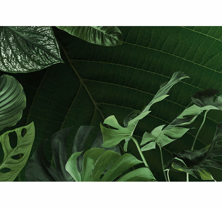 Frodigt grönt bladverk Fototapeter Natur - Tenstickers