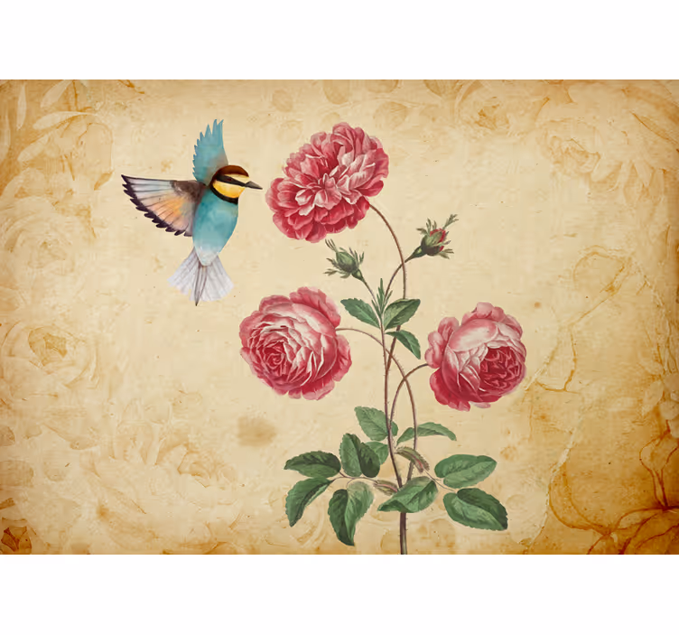 Fototapeter blommor kolibri och rosor - Tenstickers