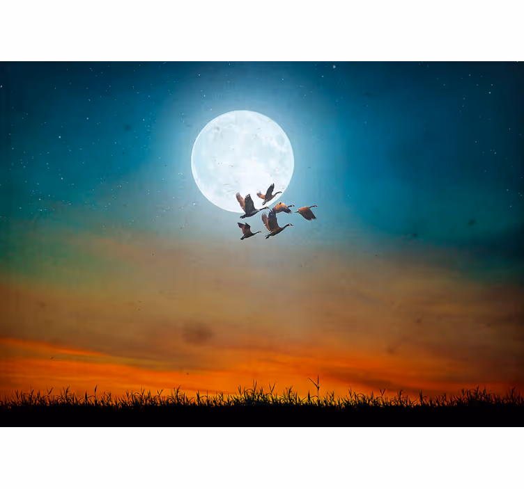 Fototapeter natur månbelyst himmel flock - Tenstickers
