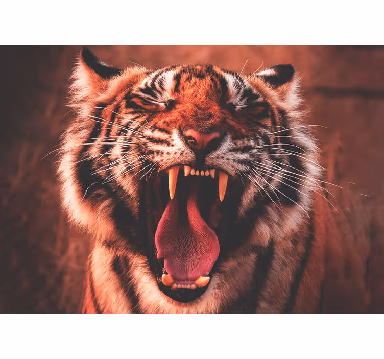 Fototapeter Övriga djur majestätisk tigervrål - Tenstickers