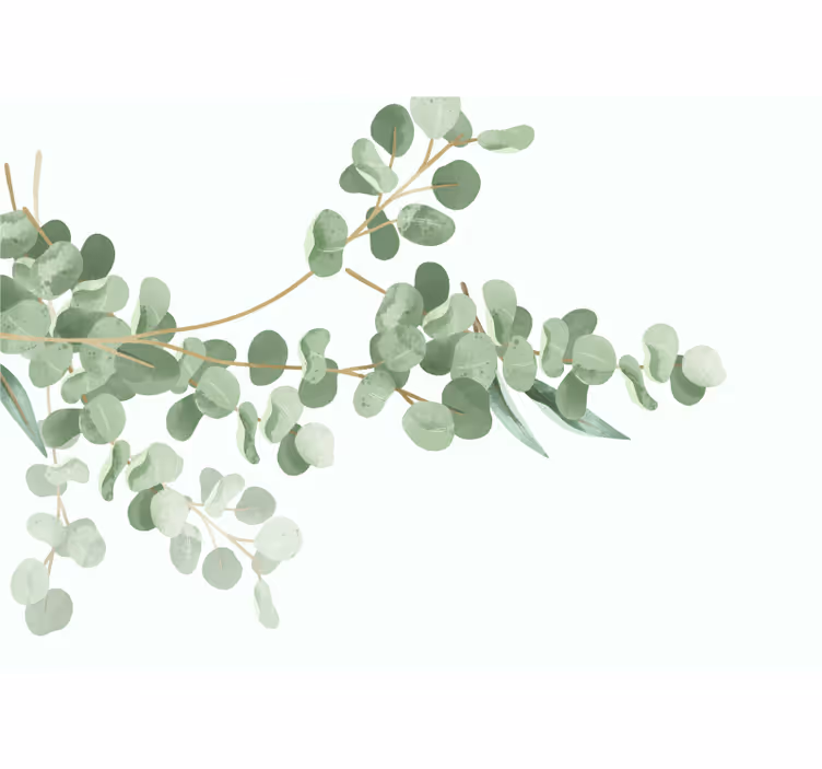Fototapeter Övriga blommor eucalyptusbladarrangemang - Tenstickers
