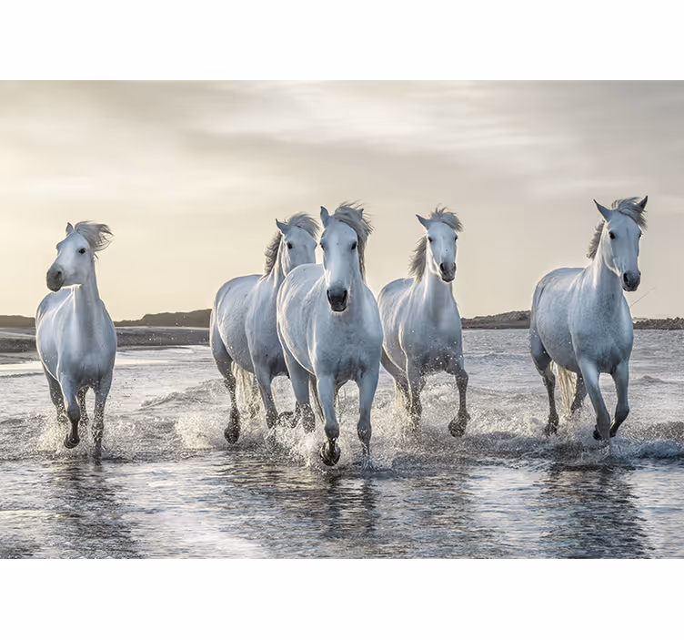 Vita och bruna hästar som kör på stranden fototapeta - Tenstickers