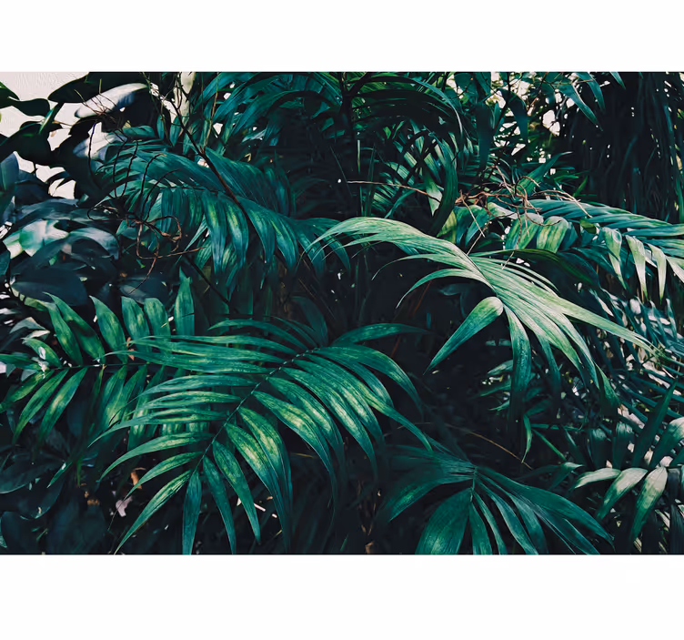 Amazonian tropiska växter natur fototapeta - Tenstickers