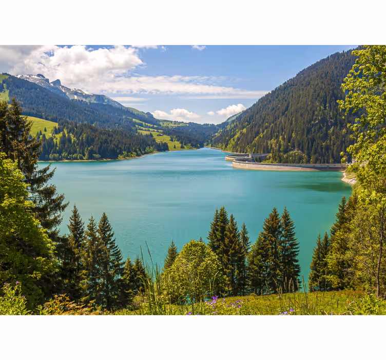Schweiz floden berg fototapet - Tenstickers