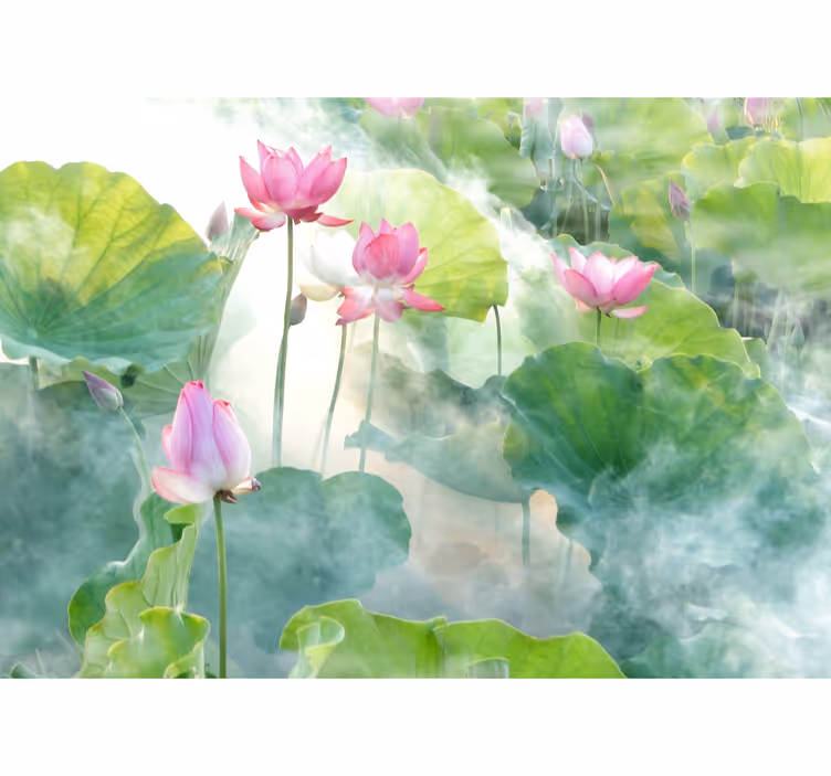 Fridfull lotusblommor fototapeta - Tenstickers