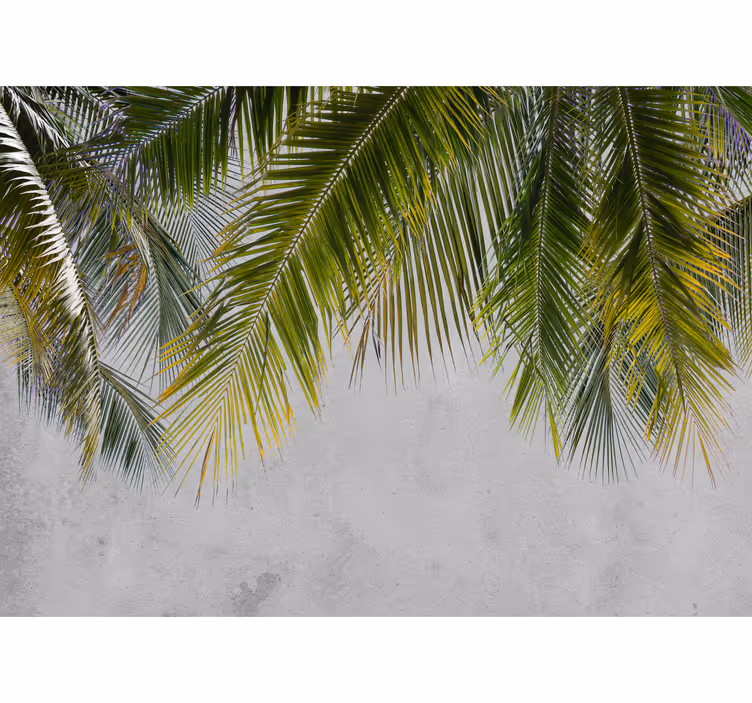 Palm löv hängande Fototapeter Salong - Tenstickers