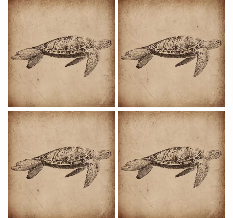 Sköldpadda illustration vintage glasunderlägg - Tenstickers
