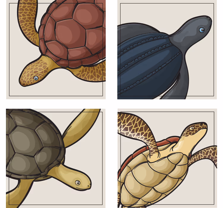 Sköldpaddor djur kakel glasunderlägg set - Tenstickers