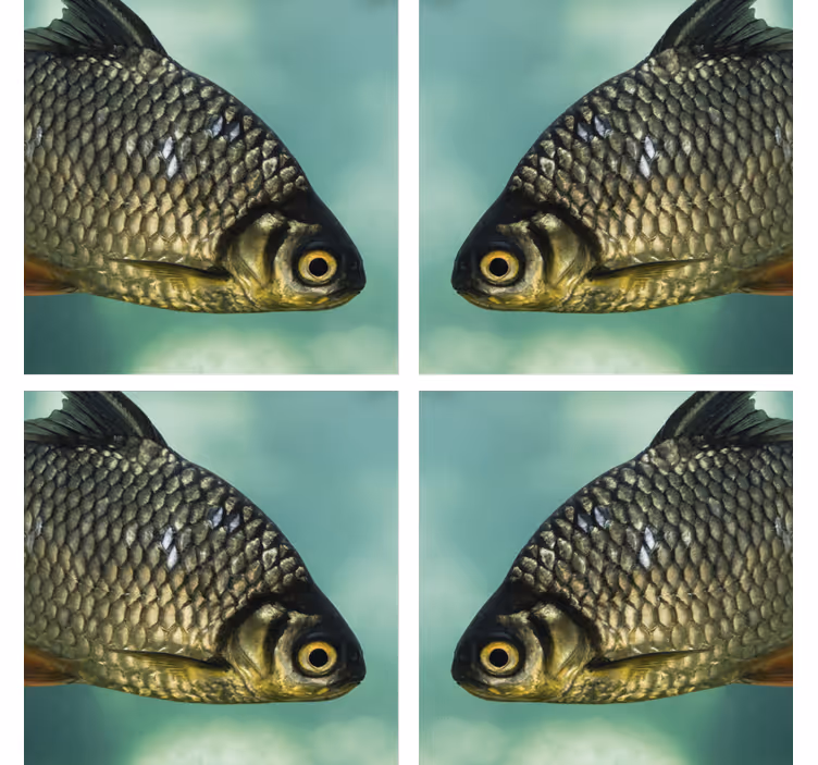 Glasunderlägg nördar med realistiska fiskmotiv - Tenstickers