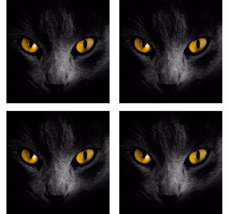 Svart katt halloween glasunderlägg - Tenstickers