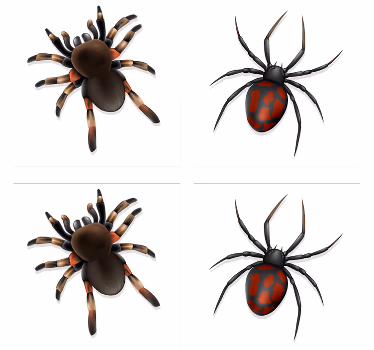 Realistisk spindel halloween-dalbana - Tenstickers