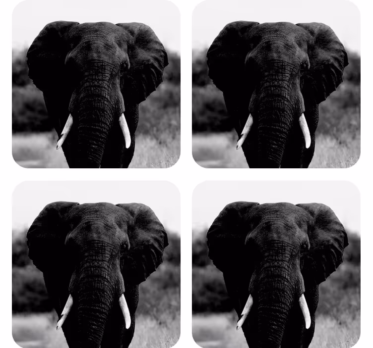 B & w elefanthuvud modern glasunderlägg - Tenstickers