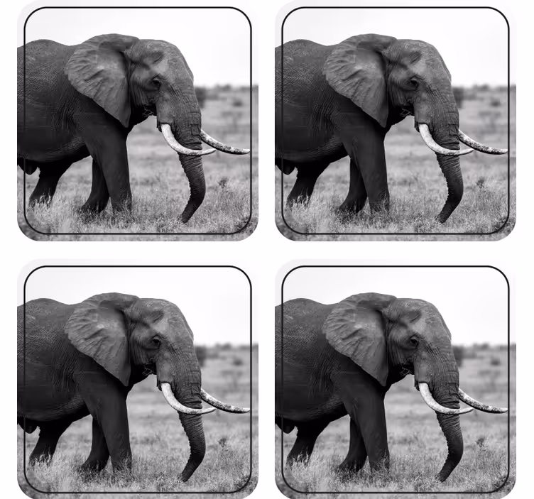 Svart och vit elefant glasunderlägg - Tenstickers