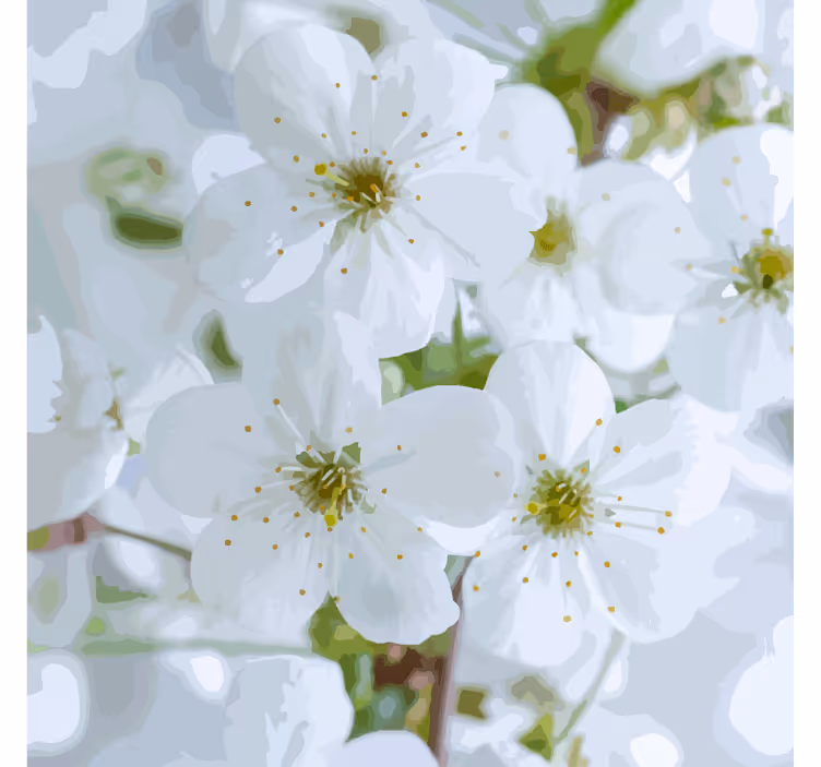 Glasunderlägg med fina körsbärsblommor - Tenstickers