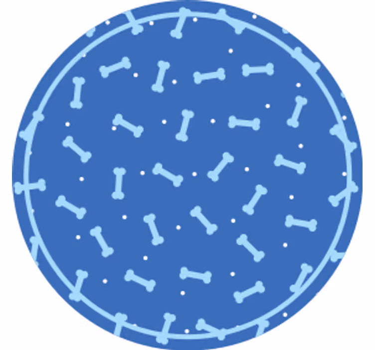 Glasunderlägg benmönster cirkel - Tenstickers