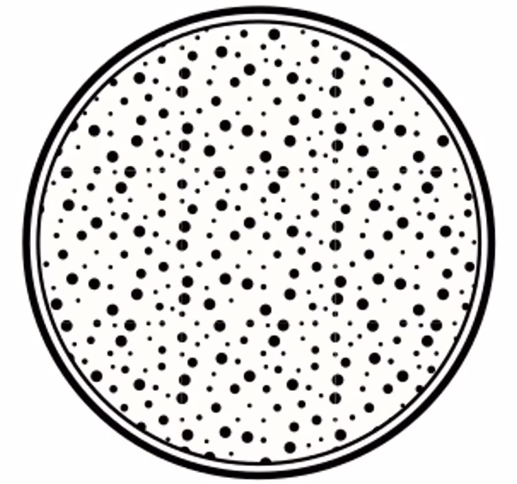 Glasunderlägg med svart prickmönster - Tenstickers