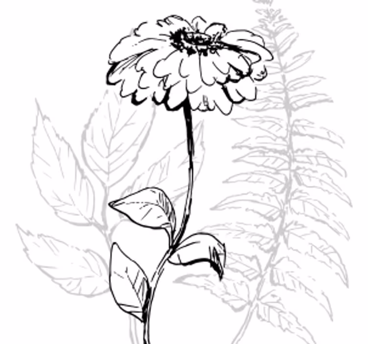Glasunderlägg botanisk linjekonst - Tenstickers